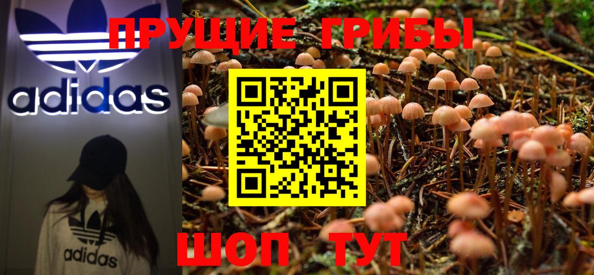Владивосток  Псилоцибиновые грибы Psilocybe  Вход с VPN 