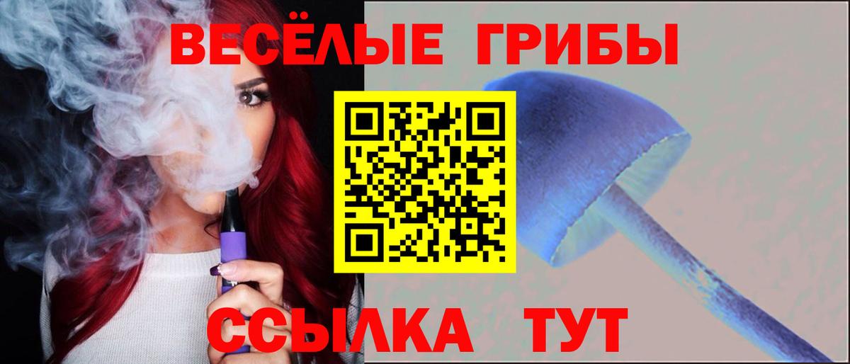 Псилоцибиновые грибы мухоморы Владивосток
